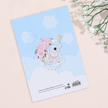 Folder for the birth certificate of "giraffes" girl, a5-1