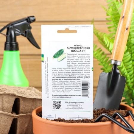 Cucumber seeds "Shosh", F1, 5 pcs.-1