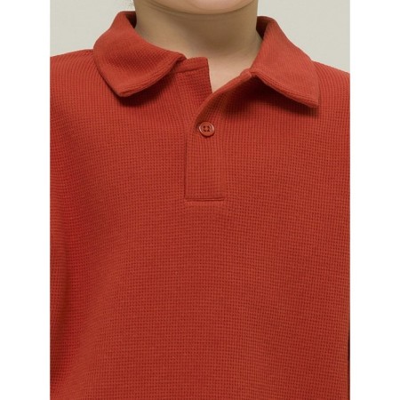 Longsliv Polo for the boy Pelican, height 86 cm, terracotta color-2