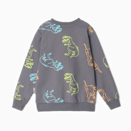 Sweatshirt for boys, graphite/dino color, height 104-4