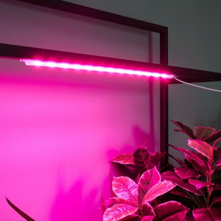 Lamp for plants LED linear, 540 mm Uniel, 10 W, LED, IP65, Color transparent-7