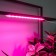 Lamp for plants LED linear, 540 mm Uniel, 10 W, LED, IP65, Color transparent