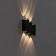 Facade lamp "Ray", FSD-011, 6 W, 3000K, 3 rays, IP65, 220 V, metal, black