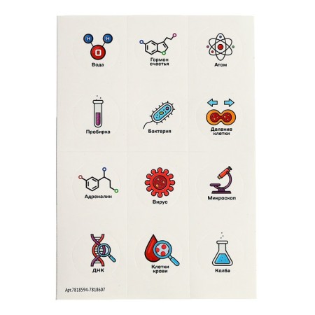 Set for experiments "My First Laboratory", mini-tests-1