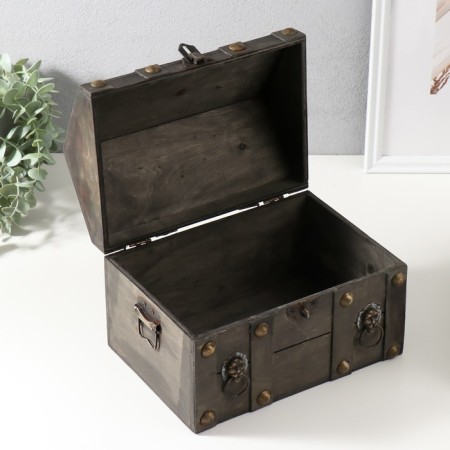 Brown cabinet tree "Leon" Brown 24x17x18.5 cm-3