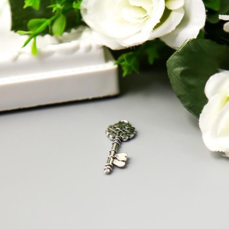 Decor for creativity Metal "Key with hearts" silver 3x1 cm-1