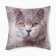 Decorative Ethel Pillow "British Cat" 40x40 cm, Gabardin, 100% p/e