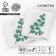 Salfets single -layer "eco" eucalyptus 24x24 cm, set of 50 pcs.