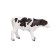 Figure Konik "Holstein calf"