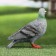 Garden figure "pigeon" 17x10x18cm
