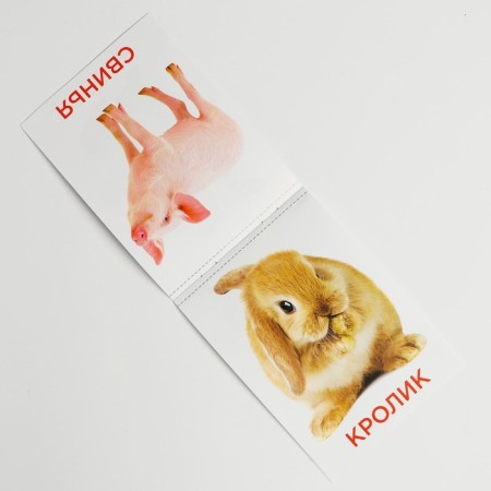 Velcro game "Study the world of pets", Methodology of Doman-5