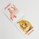 Velcro game "Study the world of pets", Methodology of Doman