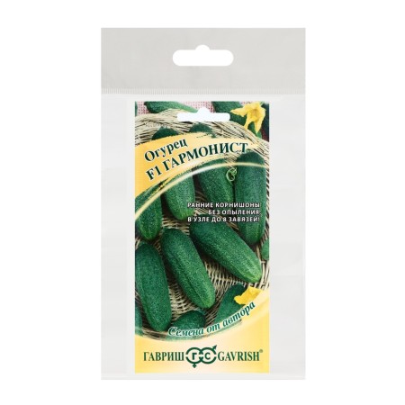 Cucumber seeds "Harmonist", set 5 pcs-2