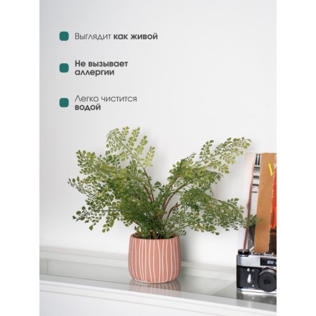 Decorative plant in a ceramic pot "Curly Paporotnik", 12 × 12 × 48 cm-4