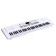 Synthesizer "Musical World", 61 key, with a microphone and adapter