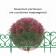 Decorative fence, 32 × 300 cm, 6 sections, plastic, green