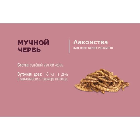 Little One "flour worm" for omnivorous rodents, 70 g-3