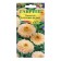 Creamy-white calendula seeds, 0.3 g