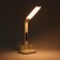 Clock - electronic lamp: calendar, thermometer, organizer, 7 watts, 40 LED, 3 modes, USB