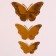 Set for decorating "Butterflies", 12 pieces, color gold