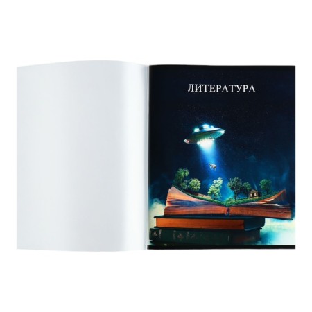 Subject notebook Calligrata Top "School style", 48 sheets in the literature line, with reference material, plastic cover, offset unit-1
