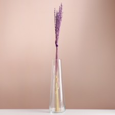 Set of dried flowers 