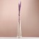Set of dried flowers "Raigrace", banch 21 pcs, length 60 (+/- 6 cm), lilac