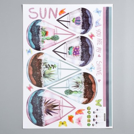 Interior plastic sticker "Florarium with succulents" 50x70 cm-1