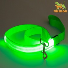 Landing with lighting 3 glow modes, 120 x 2.5 cm, green