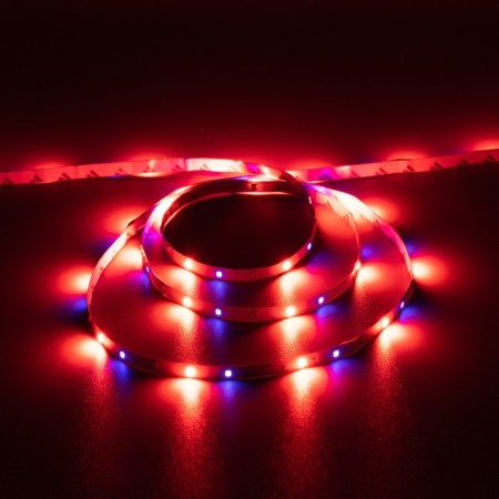 Ecola Pro 5 m, IP20, SMD2835, 60 LED/m, 4.8 W/m, 12 V, RGB-1
