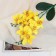 Artificial flowers "Orchid Falenopsis multiflora" 6x37 cm, yellow
