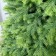 Artificial Vorontsovskaya spruce 180 cm
