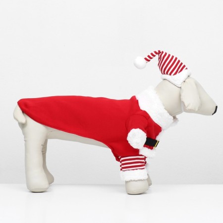 New Year's costume for dogs "Klaus", size XS (DS 20, OG 30cm)-2
