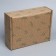 Box Gift team, packaging, "branches", brown, 27 x 21 x 9 cm