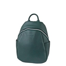 B2684 backpack, lightning department, green color 33x25x12cm
