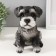 Piggy bank "Mittel puppy" height 17 cm, width 11.5 cm, length 16.5 cm black and white