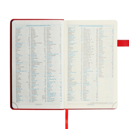 Diary of a low -up A5, 136 Premier sheets, solid cover, artificial leather, lies, magnetic refuge, beige block 70 g/m2, red-5