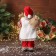 Santa Claus "in a checkered shirt, with twigs and skis" moves, 45x24 cm, red
