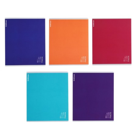 Notebook of 48 sheets in the Erichkrause "Fineline", Lamination Soft-Touch, OFSET BOCK 100%, mix