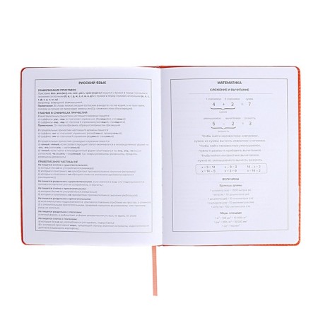 School diary for grades 1-11, "cat", firm covering with foam, artificial leather, lacing, liesse, universal cheat sheet, 48 sheets, block 80g/m2-10