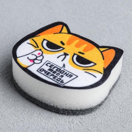 Washing sponge "today your turn" 9x6 cm-3