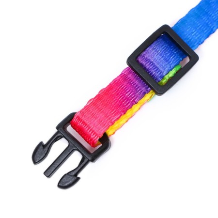 Collar "Rainbow", 30 x 1 cm, kapron-4