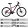 Bicycle 27.5 "Stinger Laguna Evo, red color, p. 17"