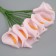 Decorative flower for the creativity "Calla" pink