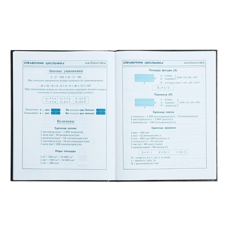 School diary for grade 1-4, 48 sheets "Racing", hard cover, glossy lamination, universal cheat sheet, block 65 g/m2-10
