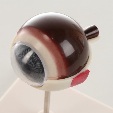 Madame "Eye of a Human" isolate 17*12*12cm-3
