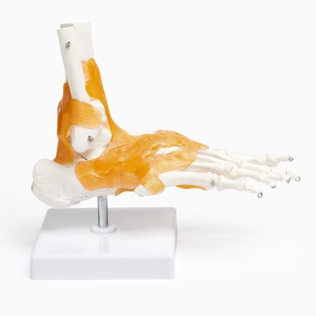 Matcage "Guplno -Star Joint" 21*20cm-4