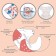 Reusable diapers "Flamingo"