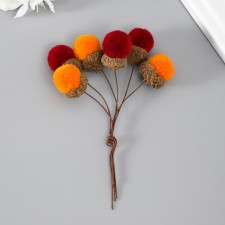 Flowers for decorating 