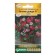 Polargonium seeds ivy "summer rains", mixture, 3 pcs